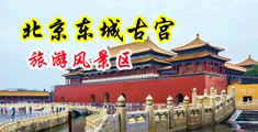 巨屌xxxxxx中国北京-东城古宫旅游风景区