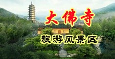 欧洲大鸡巴操大屄视频中国浙江-新昌大佛寺旅游风景区
